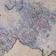 Image for article titled These are the oldest human footprints ever discovered in Europe